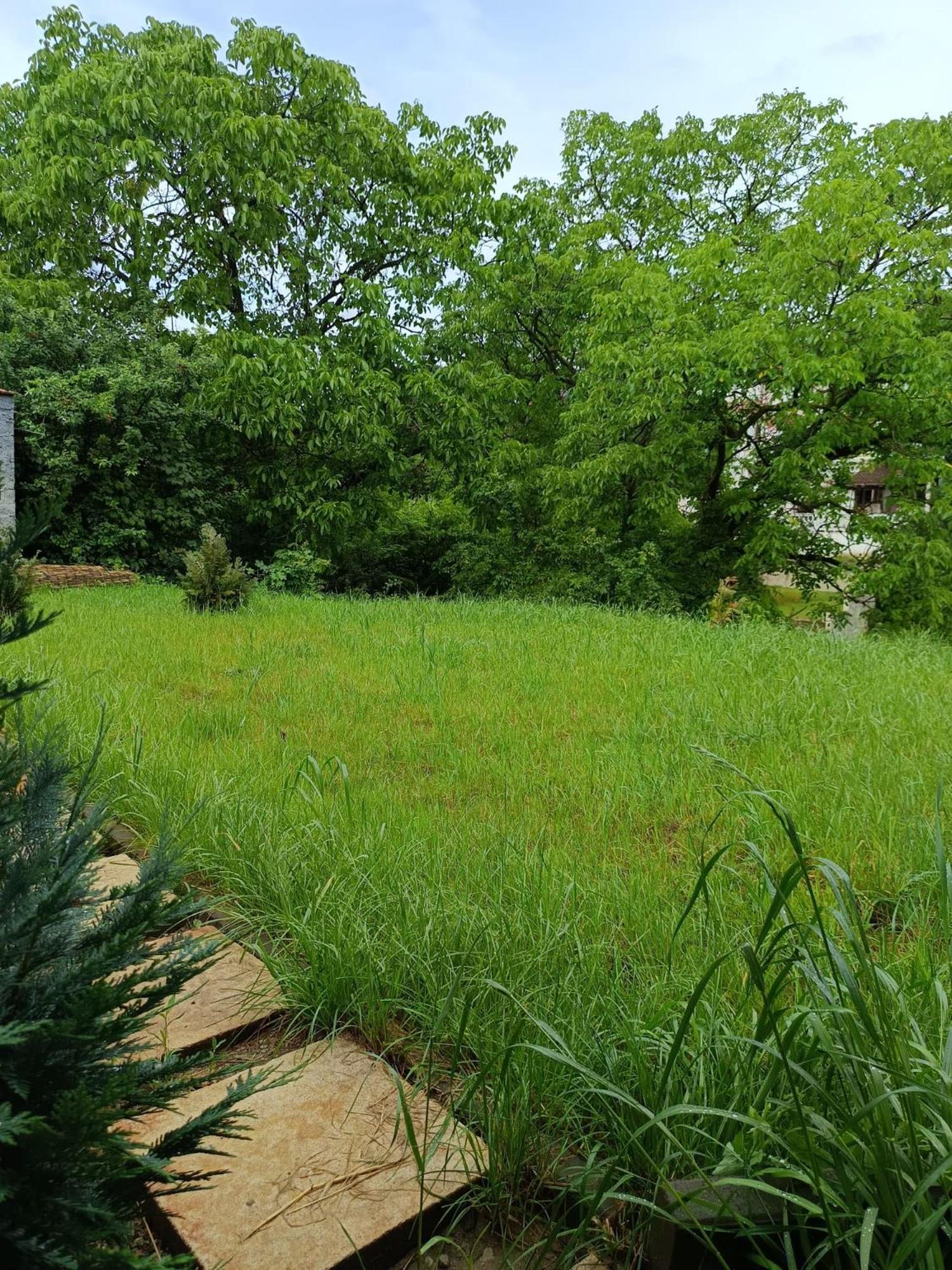 Lala Home Oradea Bagian luar foto